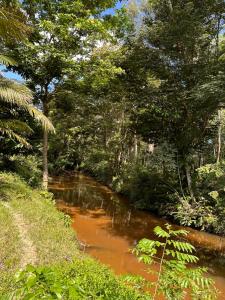 Reserva Îkü Amazonas