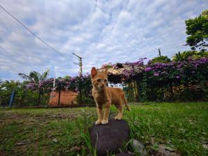 La finquita de jamgara