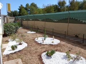 Residence Eucalipti img7