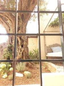 Vila Iremia