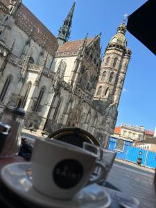 Old Town Single Room El Moly