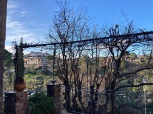 Maisons de vacances Maison charmante - Roquebrune-sur-Argens - Terrasse et vue : photos des chambres