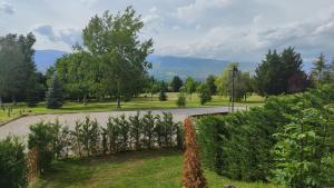 Apartament El Petit del Pla