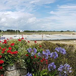 Maisons de vacances Jardin clos et calme, velos a disposition, plages a 2 kms : photos des chambres
