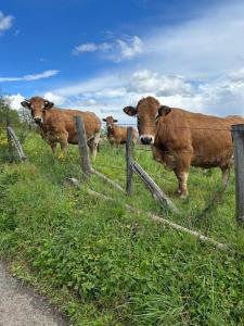 Le domaine du bez gite de Jules piscine,sauna,sauna,hammam,spa