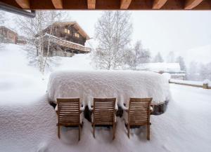 Swiss Chalet Skyfall