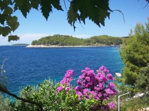 Apartments Maskovic Karbuni