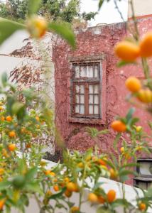 Casa Chic Palermo Soho