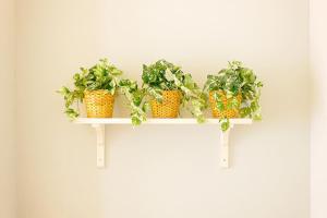 Air Maison - Shore Stay