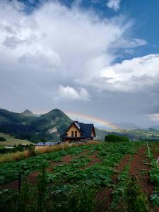 Agroturystyka Pod Zamczyskiem