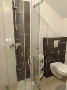 Apartament i pokoje na Sosnowej