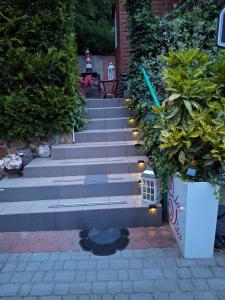 domek letniskowy hortensja 2 os