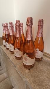 Apartma na vinski kmetiji