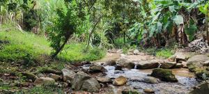 Villa Campestre Rivera