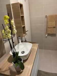 Apartman Megy 