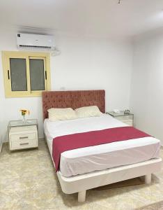 A Cozy Apartment in Cairo