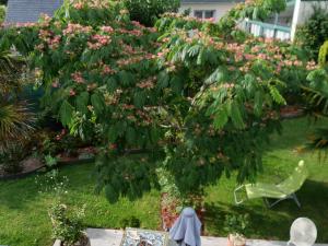 B&B / Chambres d'hotes un oasis de quietude belle chambre 22m2 : photos des chambres