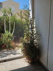 Seaside Serenity in Komi Beach!