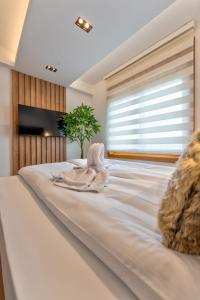 Pino Silvestre SPA 19