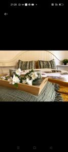 Encanto en el Moncayo