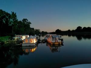 Bateaux Location de bateau a quai : confort pour 5 a Chenille-Change, Anjou - API-1-46-23 : photos des chambres