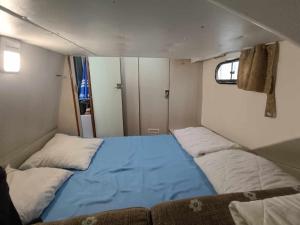 Bateaux Bateau Nicols 900 a quai, sejour unique sur l-eau a Pontailler-sur-Saone, 2 cabines, tout equipe - API-1-46-18 : photos des chambres