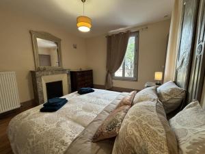 Maisons de vacances Maison Bourgeoise de Charme avec Spa, Parc et Activites - FR-1-489-541 : photos des chambres