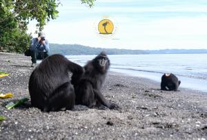 Tangkoko Backpacker Home stay