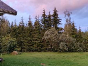 Rauhallinen talo maaseudulla 9km Seinajoelta