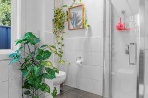 Charlottes Cottage Walk to beach