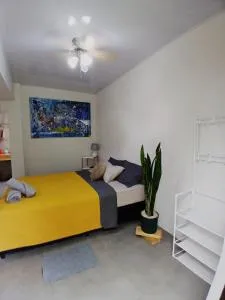 SJO Green Casita - Desamparados