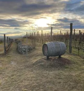Ferienwohnung Langenlois - Hadersdorf am Kamp