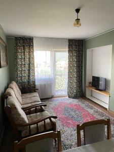 Apartament ultracentral Botis