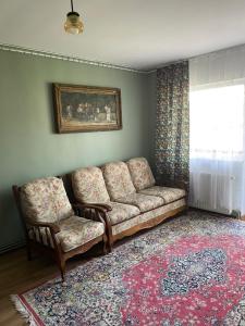 Apartament ultracentral Botis