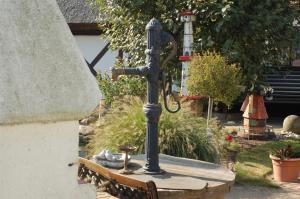 Urlaub "Unterm Storchennest" im Ostseeland Rerik