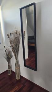 Ferienwohnung Traismauer