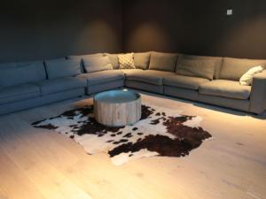 Villa in Zealand near Dutch Flanders Coast