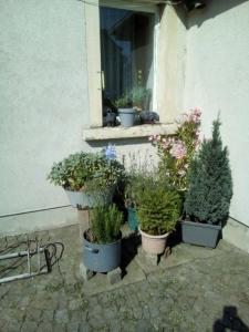 Ferienwohnung Monteurzimmer Bretnig WiFi Waschmaschine Parklpatz kostenlos