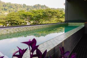 Kokos Hostel Padang City