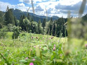 Siebenschläferhütte