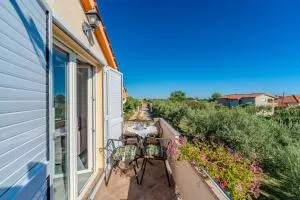 Emila's apartments - Prorokovic