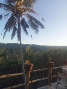 Permaculture house2