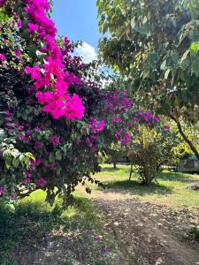 Best Camping Tours Campsite