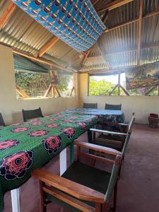 Best Camping Tours Campsite