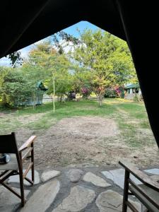 Best Camping Tours Campsite