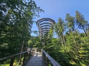 Moderní apartmán Horní Maršov - by Alka