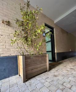 Studio Love Brussel Midi