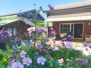 Ostsee Priwall Oase FeWo Haus Travemünde - Dassow