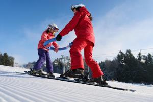 Vila nad jezerem Lipno