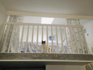 Maisons de vacances Chez Karine et Rodolphe : photos des chambres